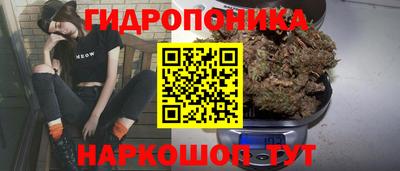 скорость Славгород