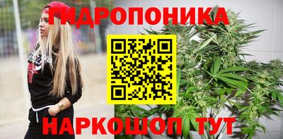 скорость Славгород