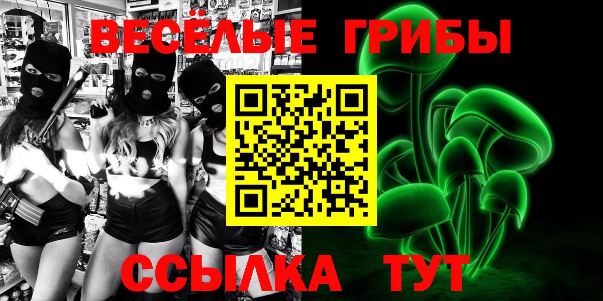 Псилоцибиновые грибы Psilocybine cubensis Новоуральск